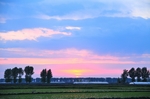 夕阳下的稻田