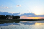 夕阳下的稻田