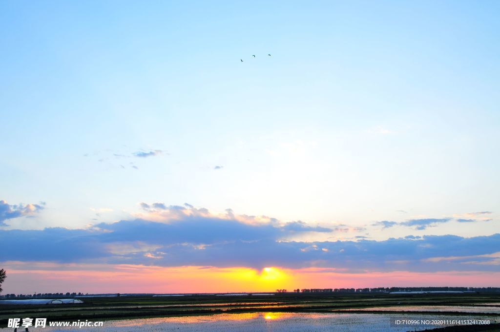 夕阳下的稻田