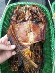 鲤鱼干