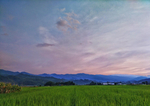 稻田