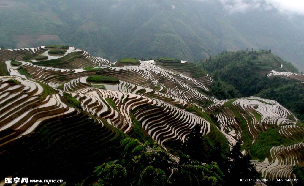 龙脊梯田
