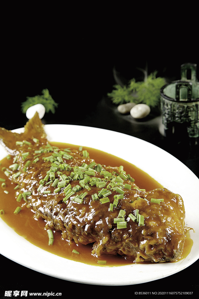 南北热菜黄河大鲤鱼