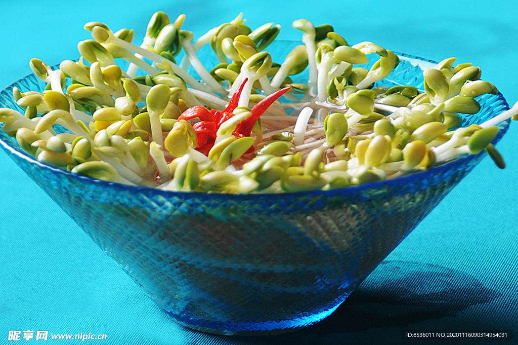 淮扬菜豆芽