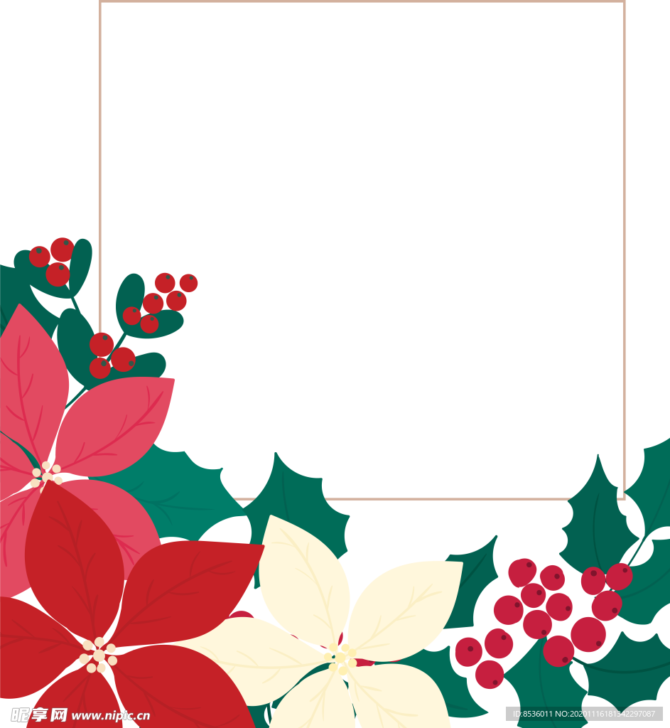 花卉插图