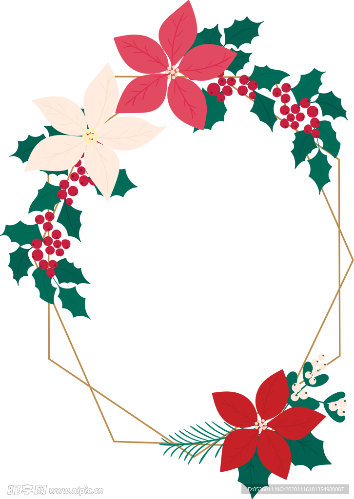 花卉插图