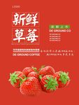 草莓海报