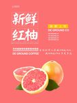 红柚海报