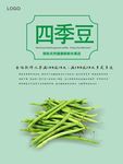 豆角海报