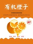 橙子海报