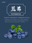 蓝莓海报