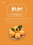 枇杷海报
