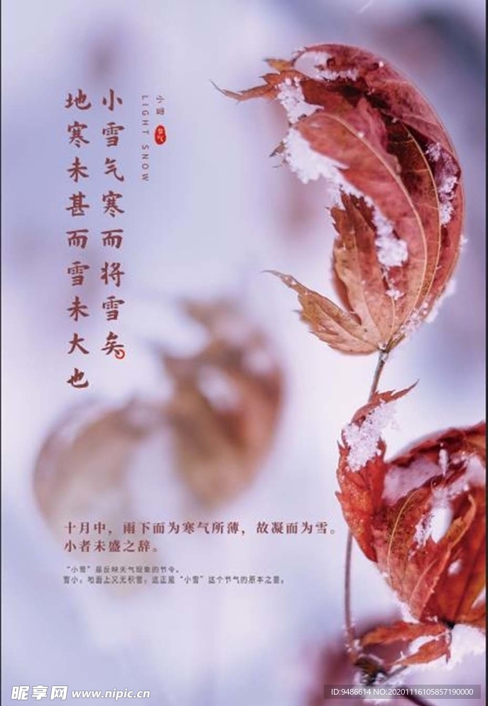 小雪