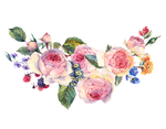 玫瑰花