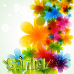 spring 矢量