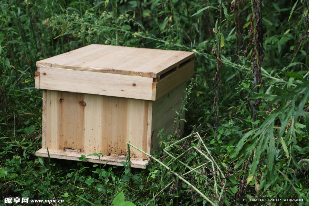 蜂箱养蜂场