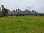 城市草地