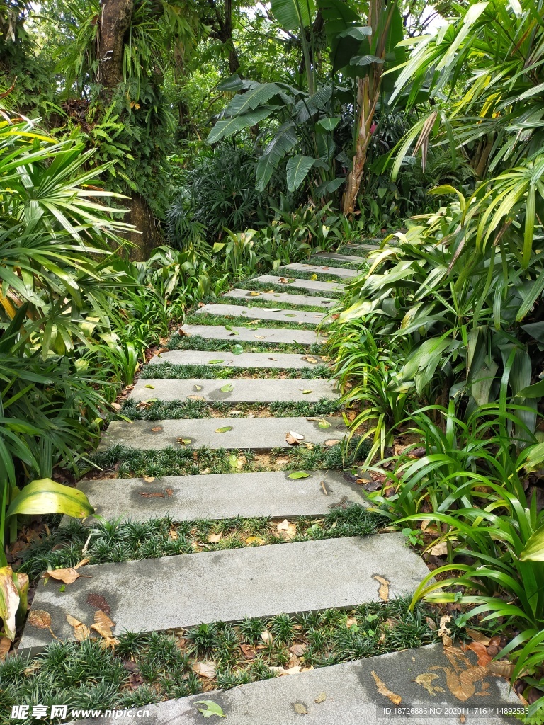 小路