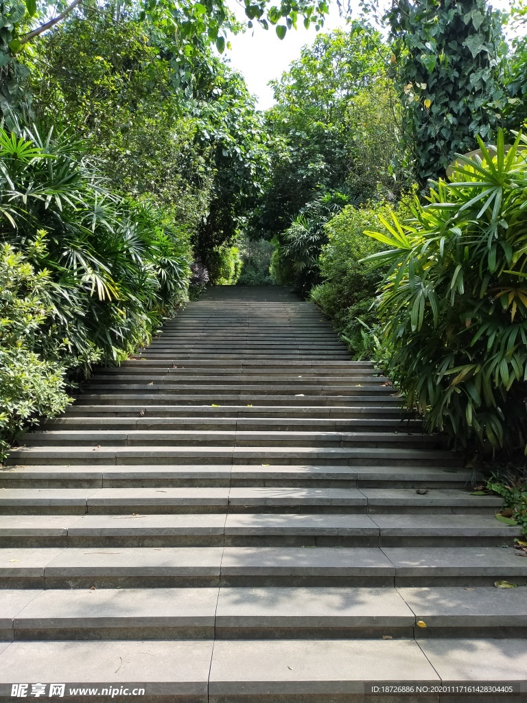 公园小路