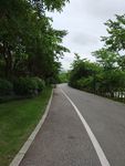 道路