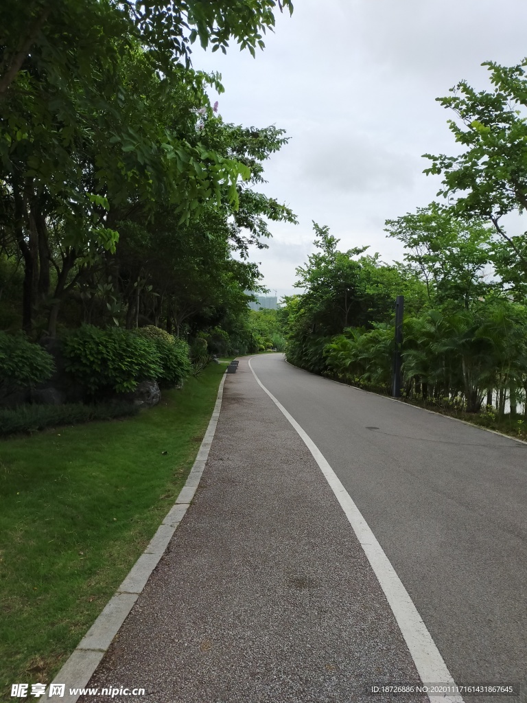 道路