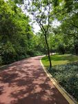 公园小路