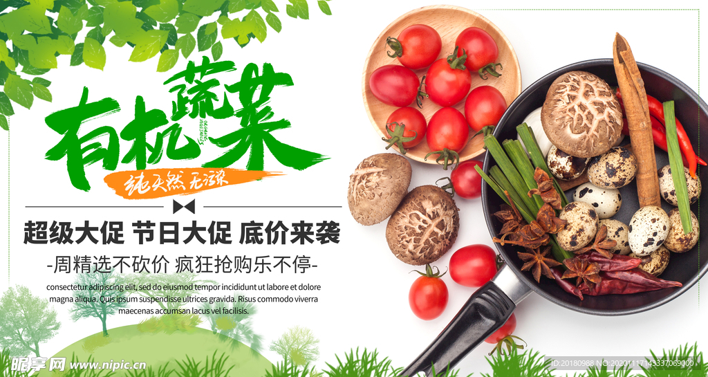 有机蔬菜