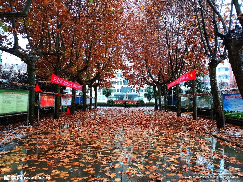 雨天的校园风景
