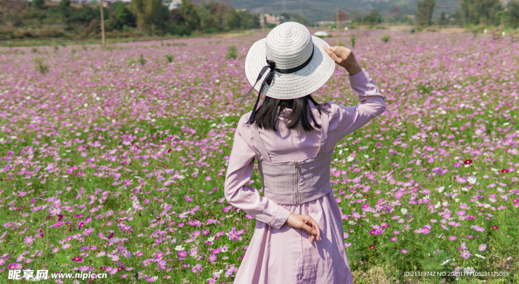 格桑花女孩背影