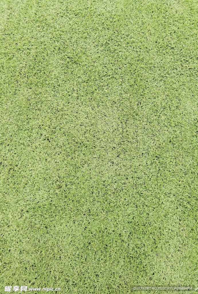 足球场 草坪 绿色 草皮 球场