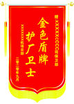红色大气绒布宣传锦旗