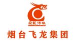 飞龙集团