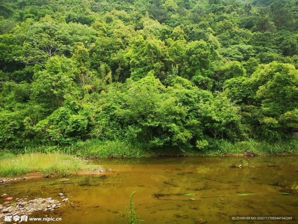 树林 山林 湖水 湖面 风景