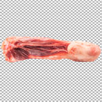 猪肉