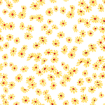 小菊花