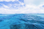海