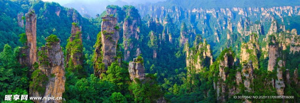 山林