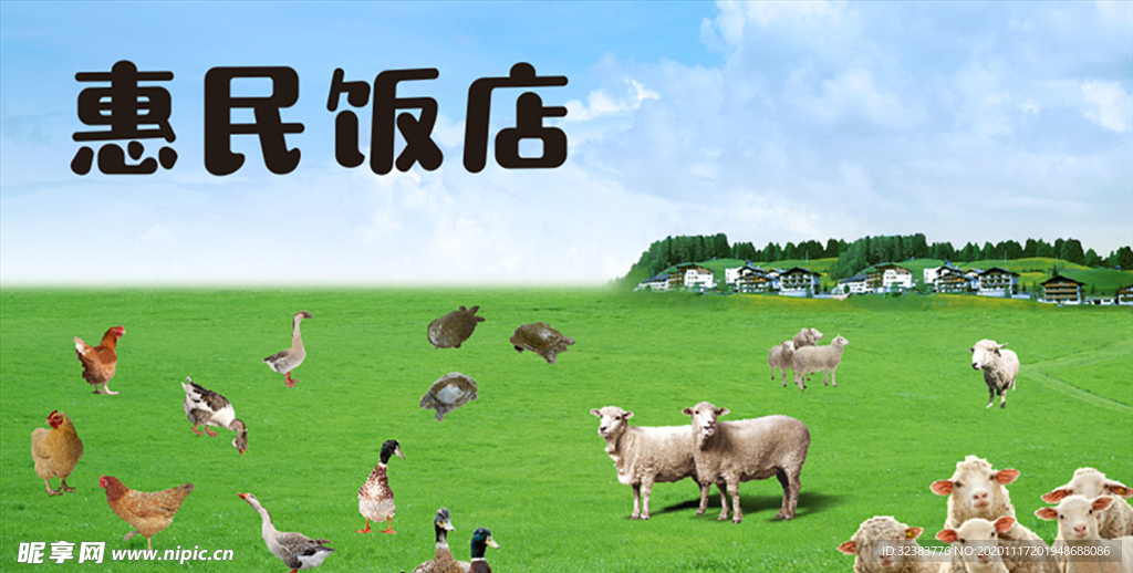 鸡鸭羊背景