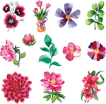 手绘花