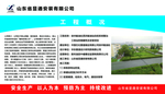 工程概况