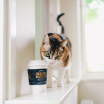 小猫