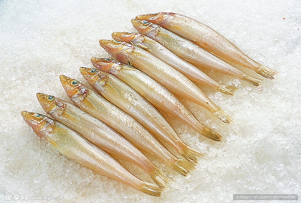 浙菜沙丁鱼
