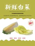 白菜海报