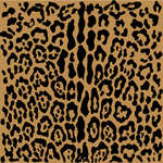 豹纹