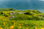 碧草青山风景图片