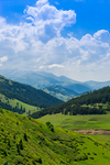 山岭树林风景图片