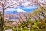 富士山风景图片