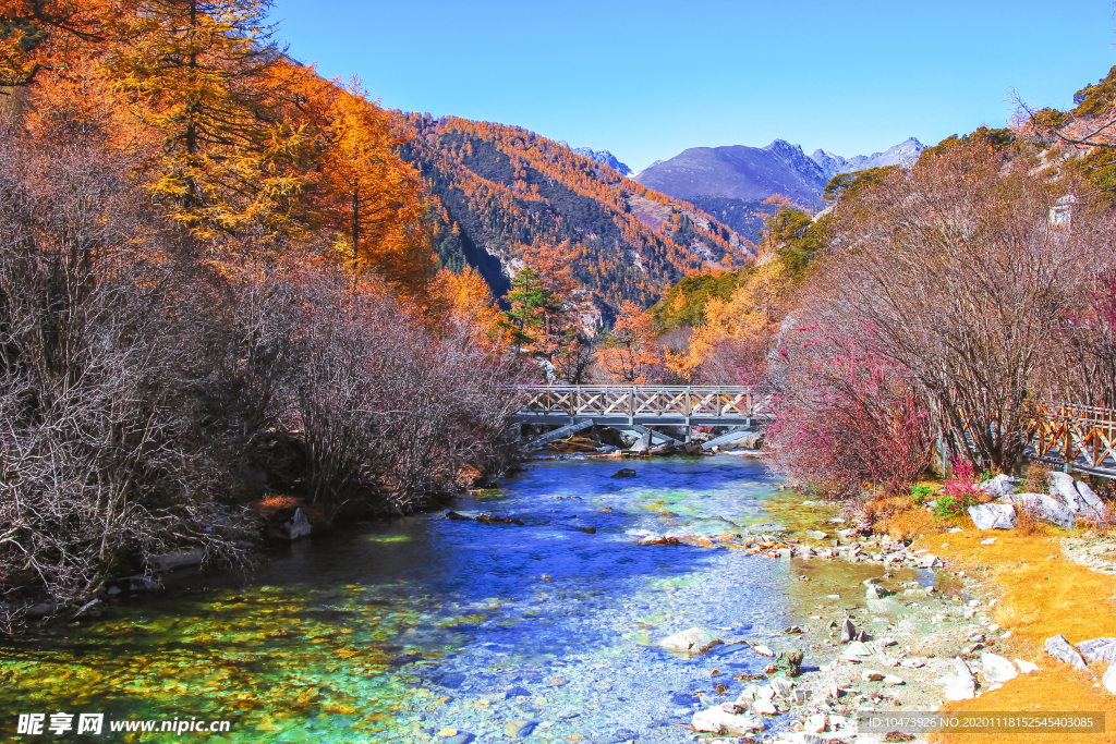 深秋风景