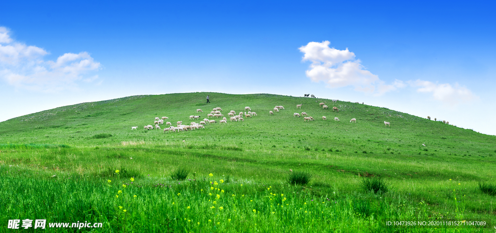 碧草蓝天风景图片