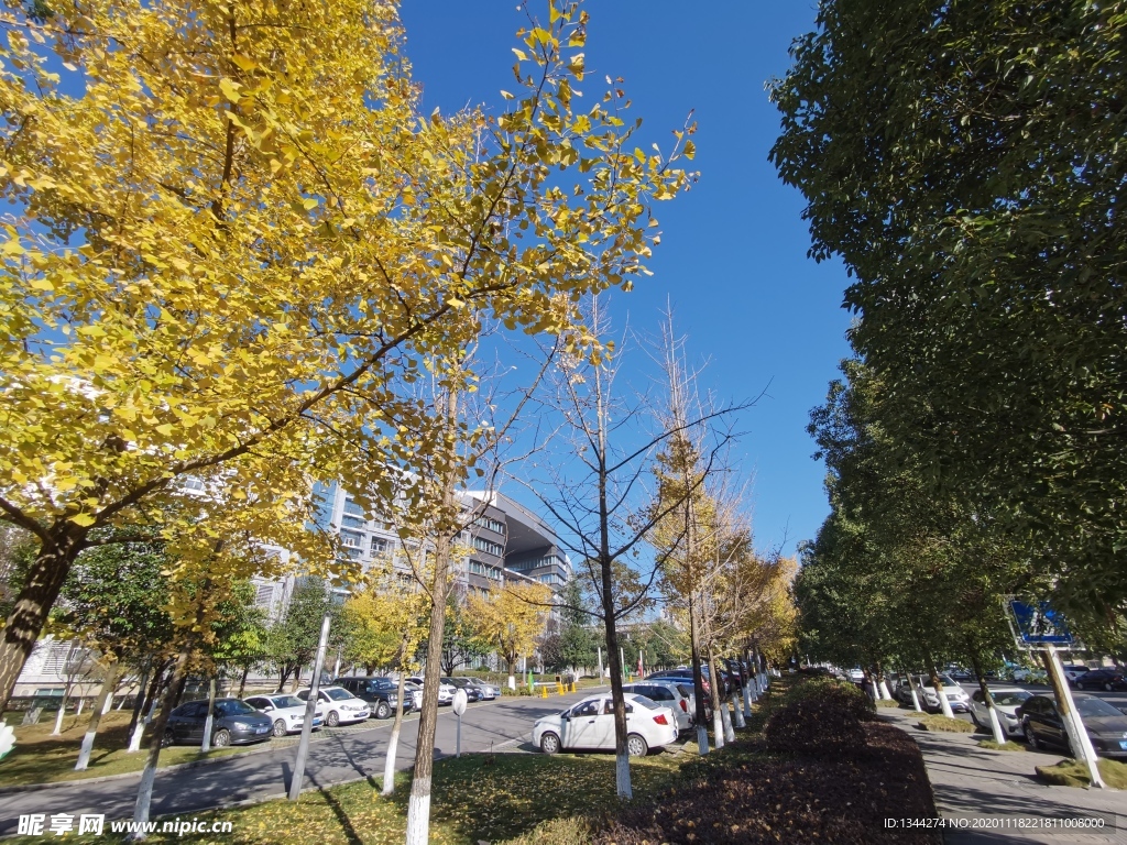 遵义汇川大道街景